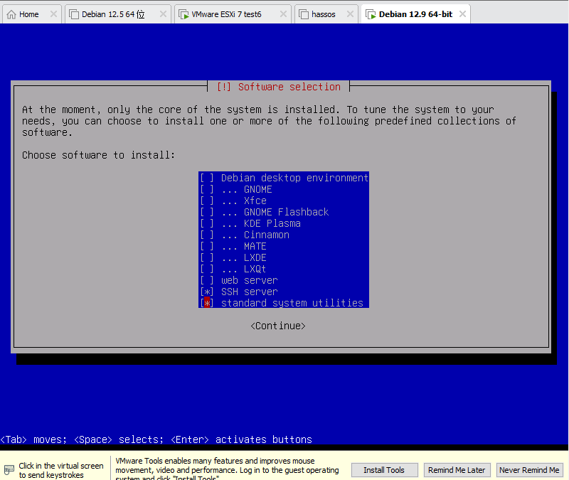 windows10-vmvareplayer17-Install-debian12-9.png